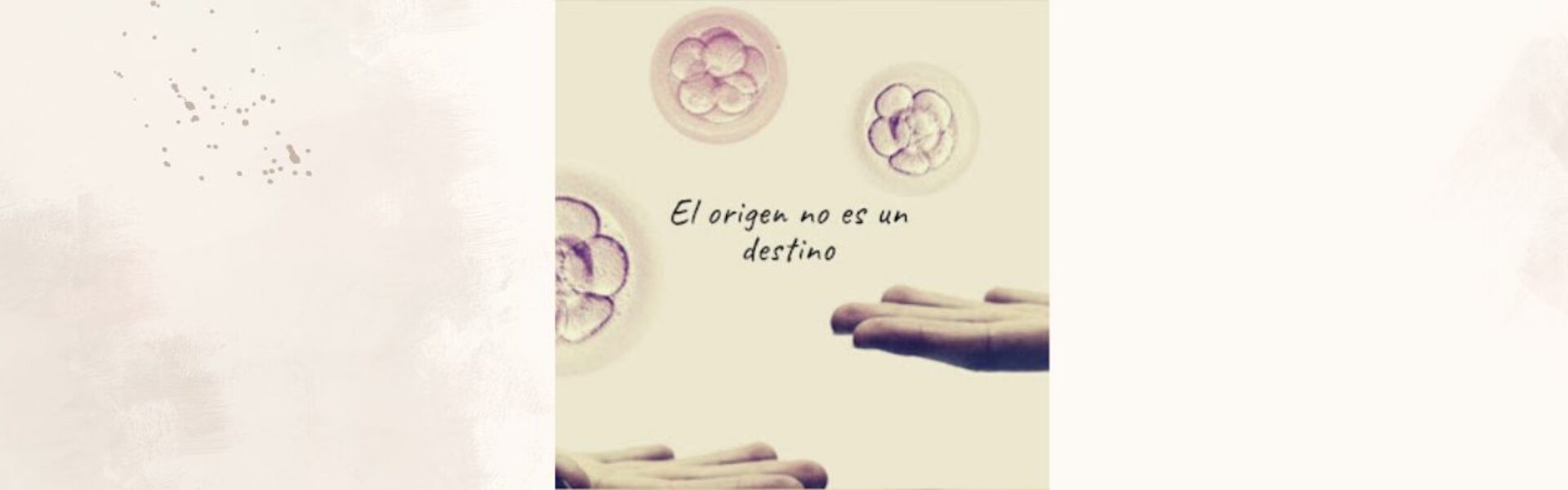 El origen no es destino thumbnail