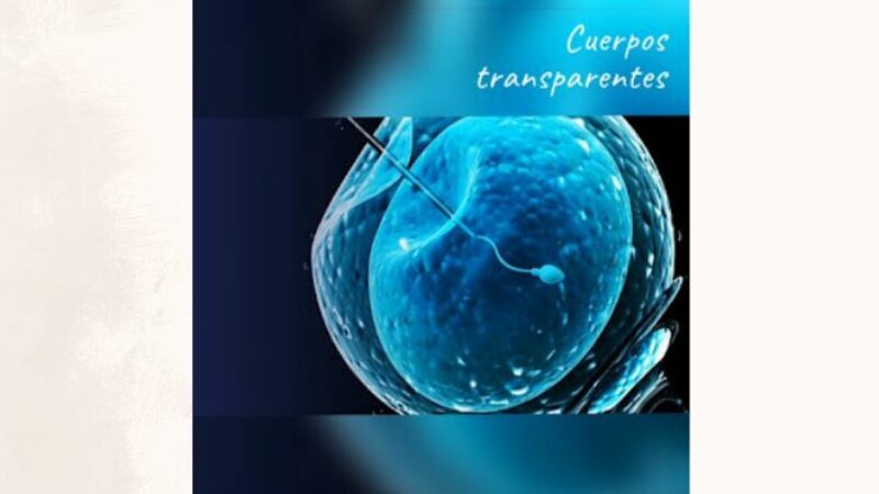 Cuerpos transparentes thumbnail