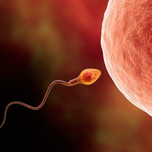 DIPLOMATURA UNIVERSITARIA thumbnail